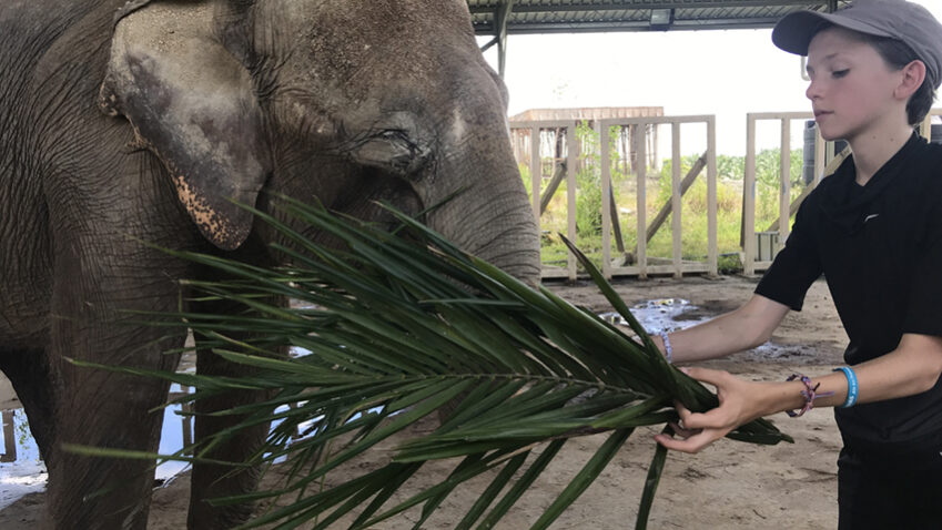 BORNEO ELEPHANT SANCTUARY
