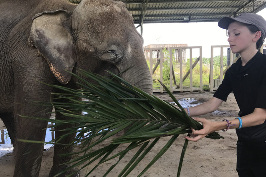 BORNEO ELEPHANT SANCTUARY BORNEO ELEPHANT SANCTUARY