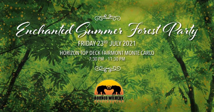 Enchanted forest party 2021