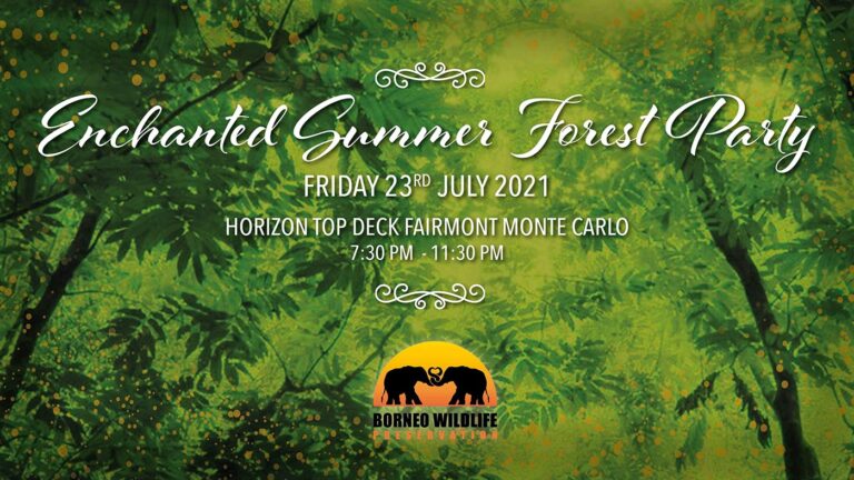 Enchanted forest party 2021 Enchanted forest party 2021