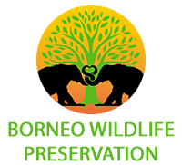 Borneo Wildlife Preservation