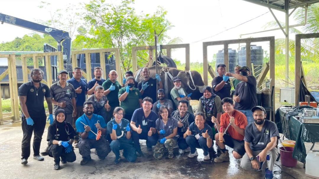 PHOTO-2022-09-28-07-17-17 2