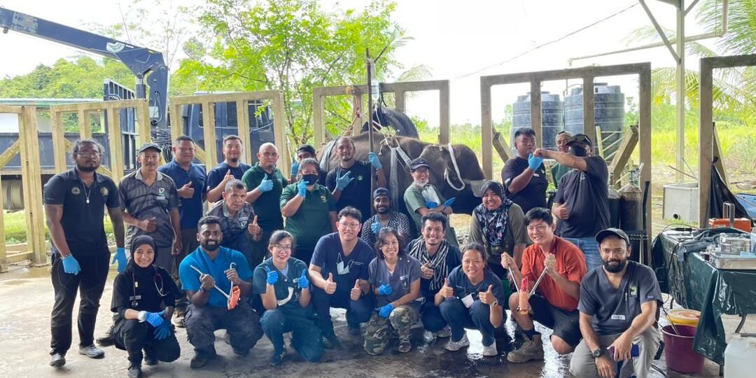 PHOTO-2022-09-28-07-17-17 2