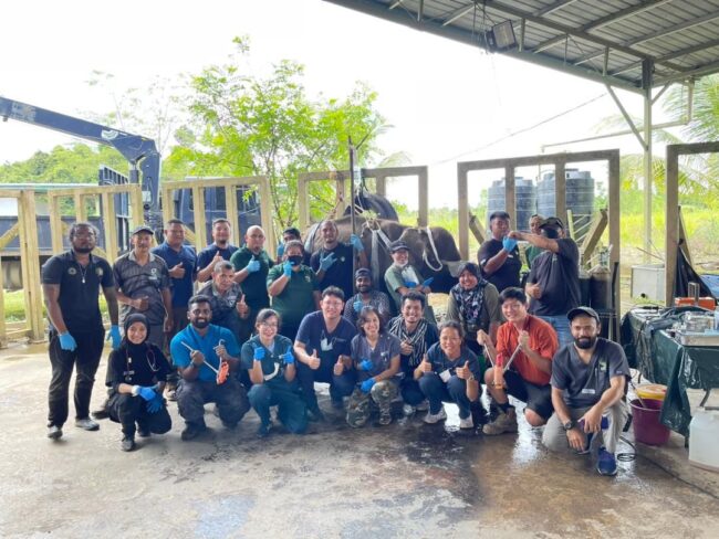 PHOTO-2022-09-28-07-17-17 2