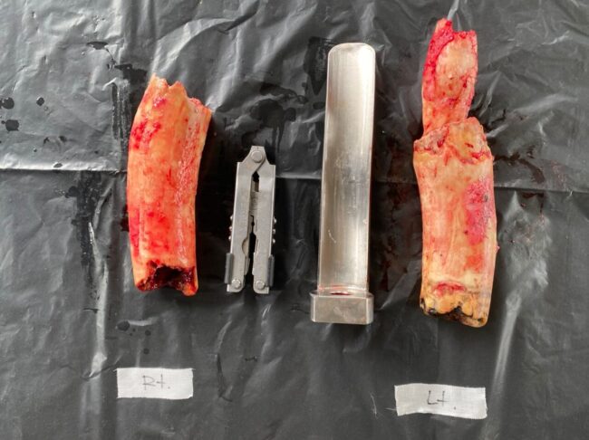 PHOTO-2022-09-28-07-17-17