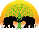borneowp.org